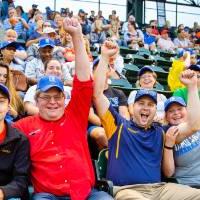 Image of group in the stands of Comerica Park